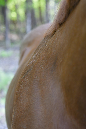 DSC_3195